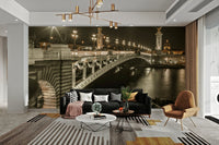 Night view of Pont Alexandre III over the Seine River

