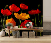 Elegant floral wallpaper with multicoloured poppy blooms standing out on a black background.