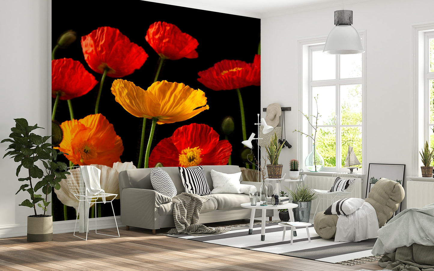 Contemporary floral wallpaper with oversized red and yellow poppies in full bloom.