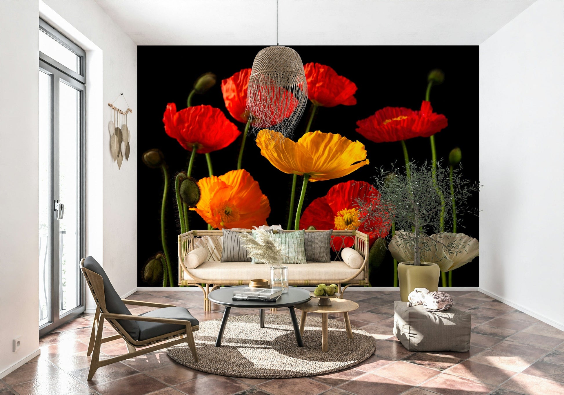 Botanical wallpaper showcasing multicoloured poppy petals illuminated against a dark backdrop.