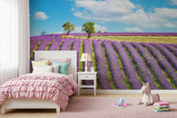 Provence Dreams Wall Mural