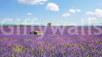 Wall mural featuring Provence scenery and open farmland