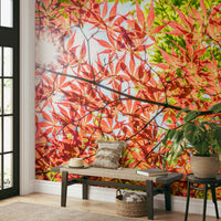 The wallpaper is perfect for a peaceful space.

