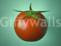 Red Tomato wallpaper mural close-up of a single ripe red tomato with green calyx on a soft mint-green background