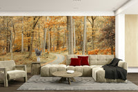 Autumn forest road wallpaper for walls

