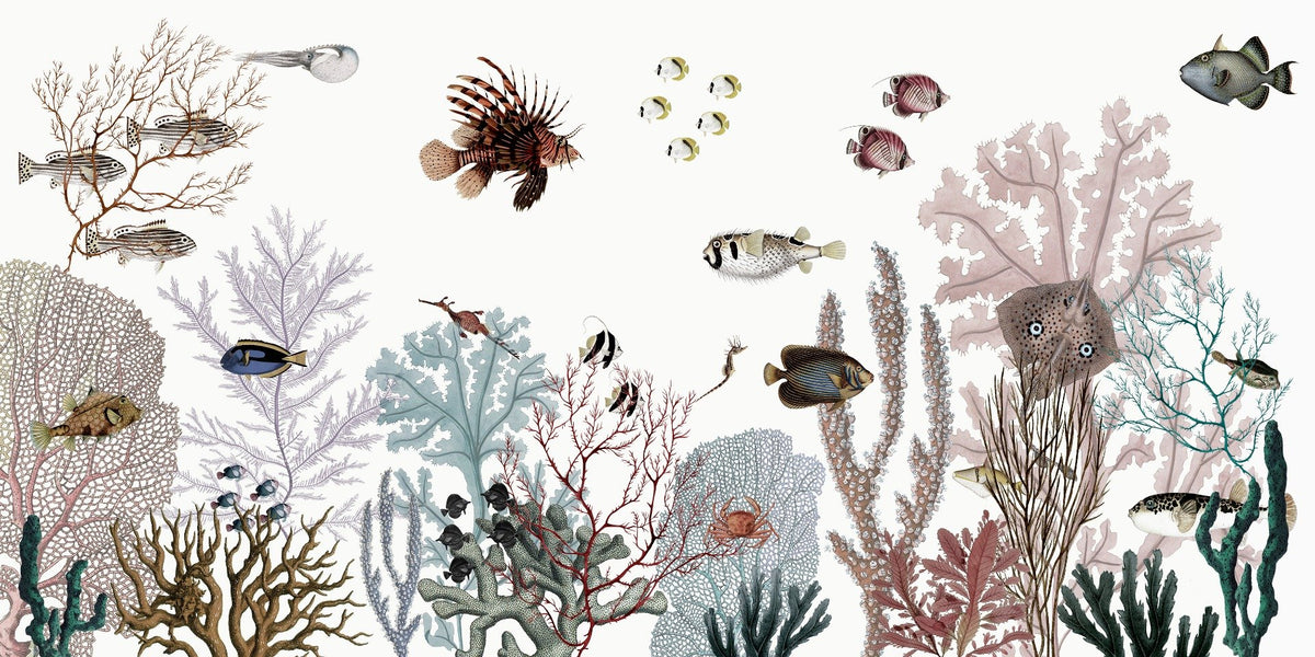 Colorful Reef wallpaper with white background in your room — zoomed
