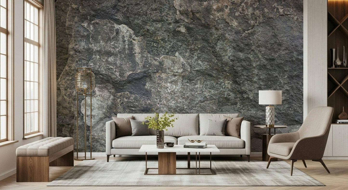 Rocky Surface Wall Mural -2566618