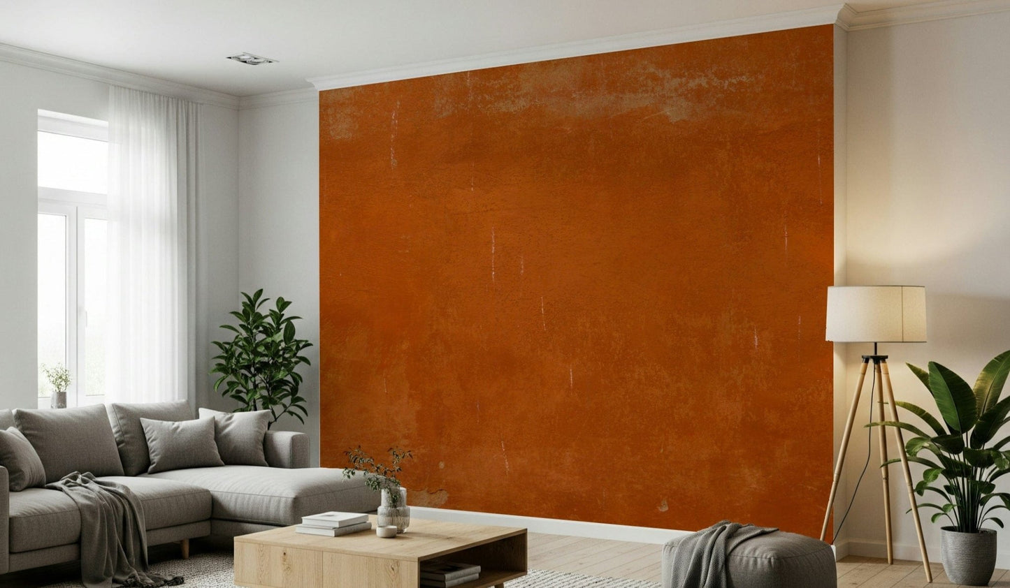 Roman Sall wall mural in deep terracotta textured surface style