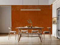 Roman Sall wall mural with vintage orange limewash texture