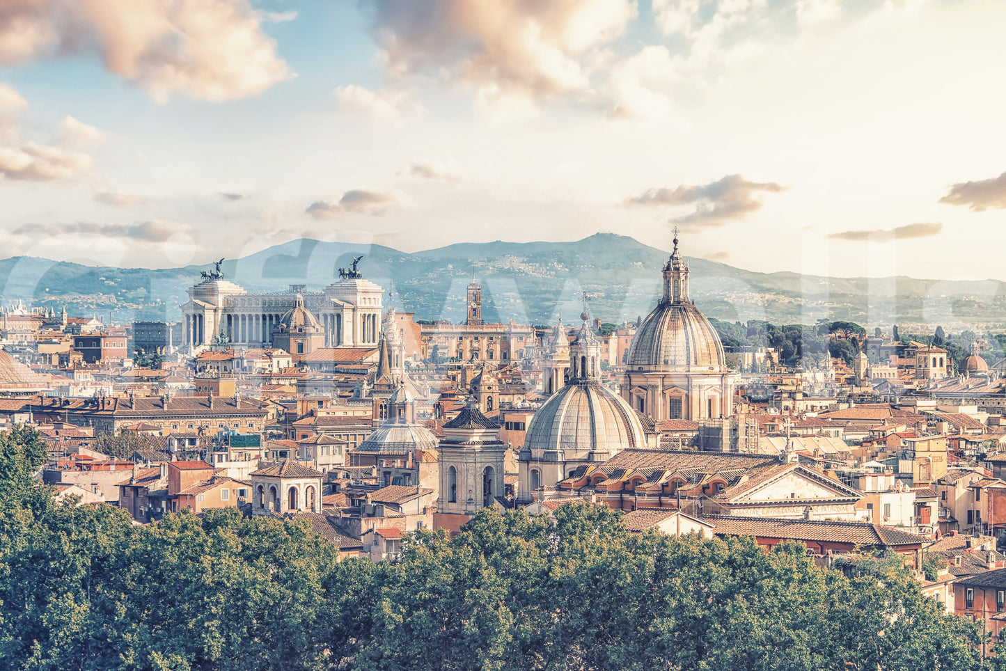 Eternal City: Roman Skyline Canvas Wall Mural