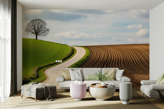 A beautiful rural landscape with a curved path.