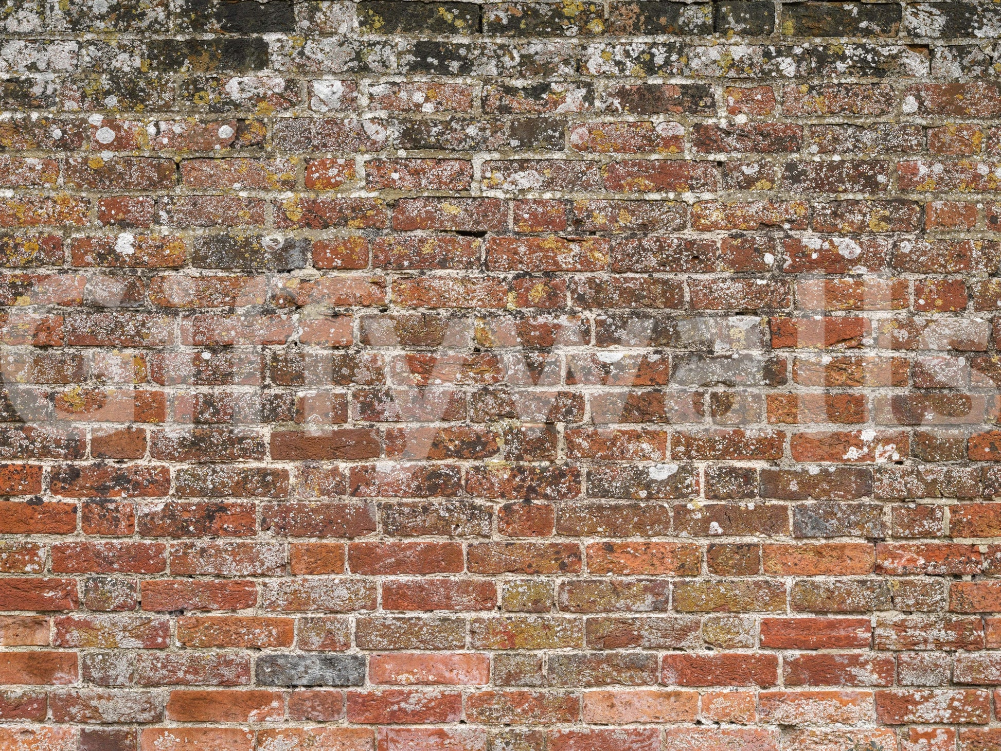 A high-quality realistic stone wall mural for walls.

