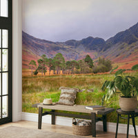 A seamless pattern for a living room or bedroom.

