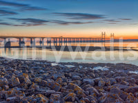 Dusk colors painting clouds above Scenic River Bridge View wall mural.