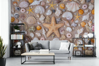 The style is photographic and realistic, highlighting the intricate details of each marine specimen.
