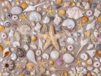 Evokes a feeling of wonder and serene delight.