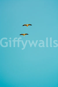 The wallpaper for walls being admired in a home.

