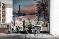 Seine and Eiffel Tower Silhouette wallpaper mural at sunset behind a beige sofa with a green throw