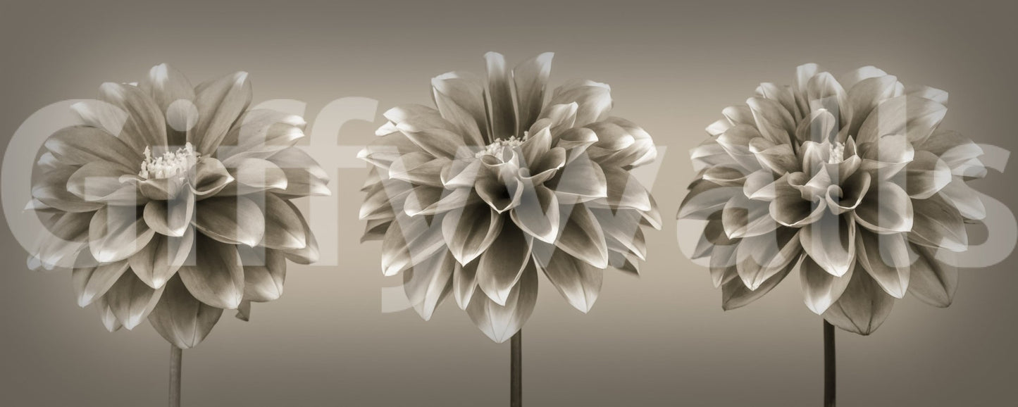 Timeless floral wall mural with three stems