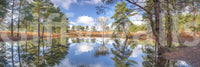 Serene Beauty of Nature Wall Mural
