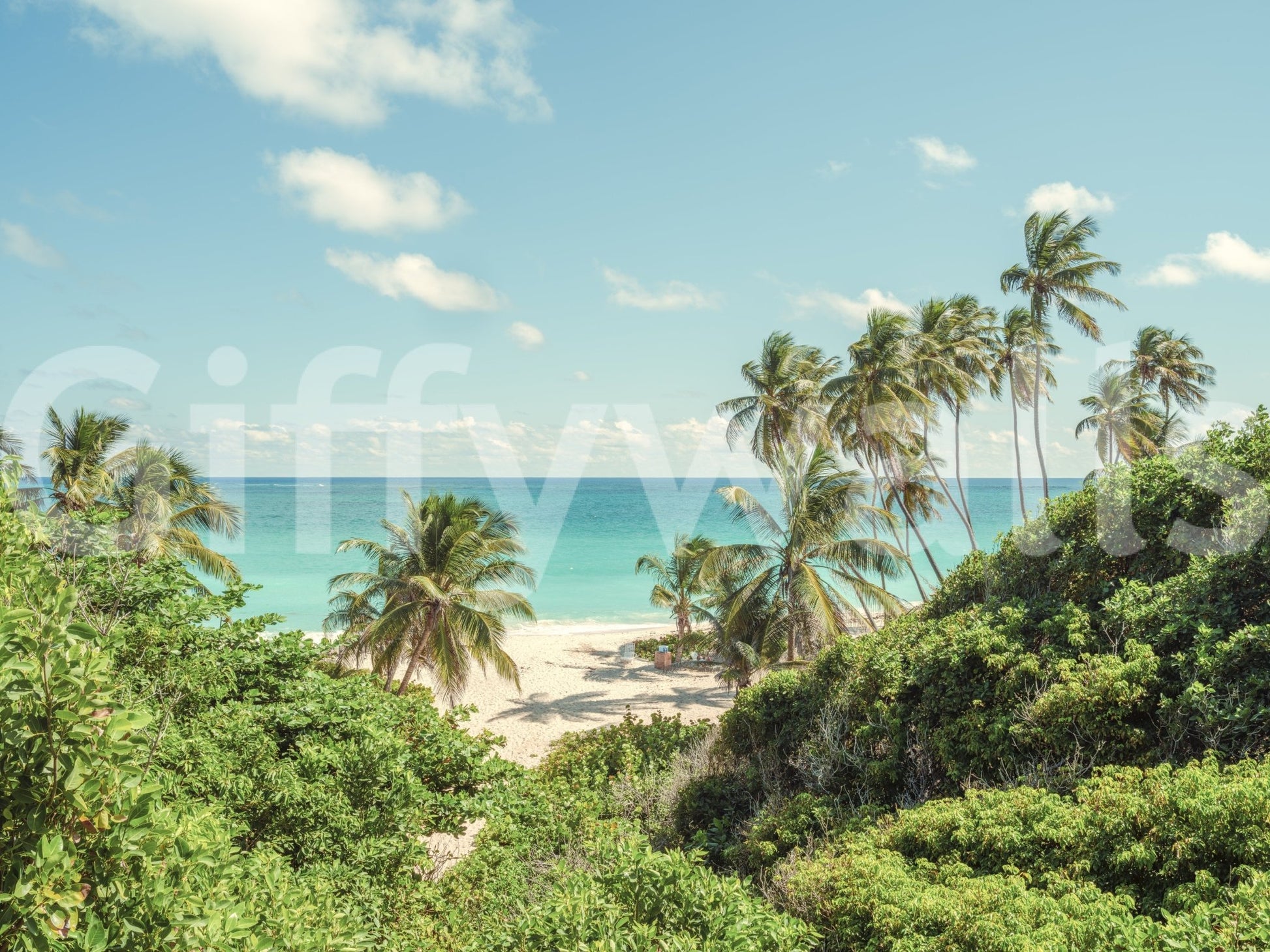 Nature-inspired tropical coastal beach vista for wall decoration