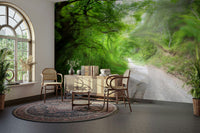 Sunlit trail wall mural wallpaper
