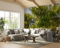 Lush trees with soft light wallpaper
