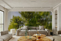Soft light tree landscape wall mural
