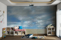 Nature photo mural with skies
