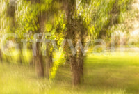 The visual texture appears soft and painterly.

