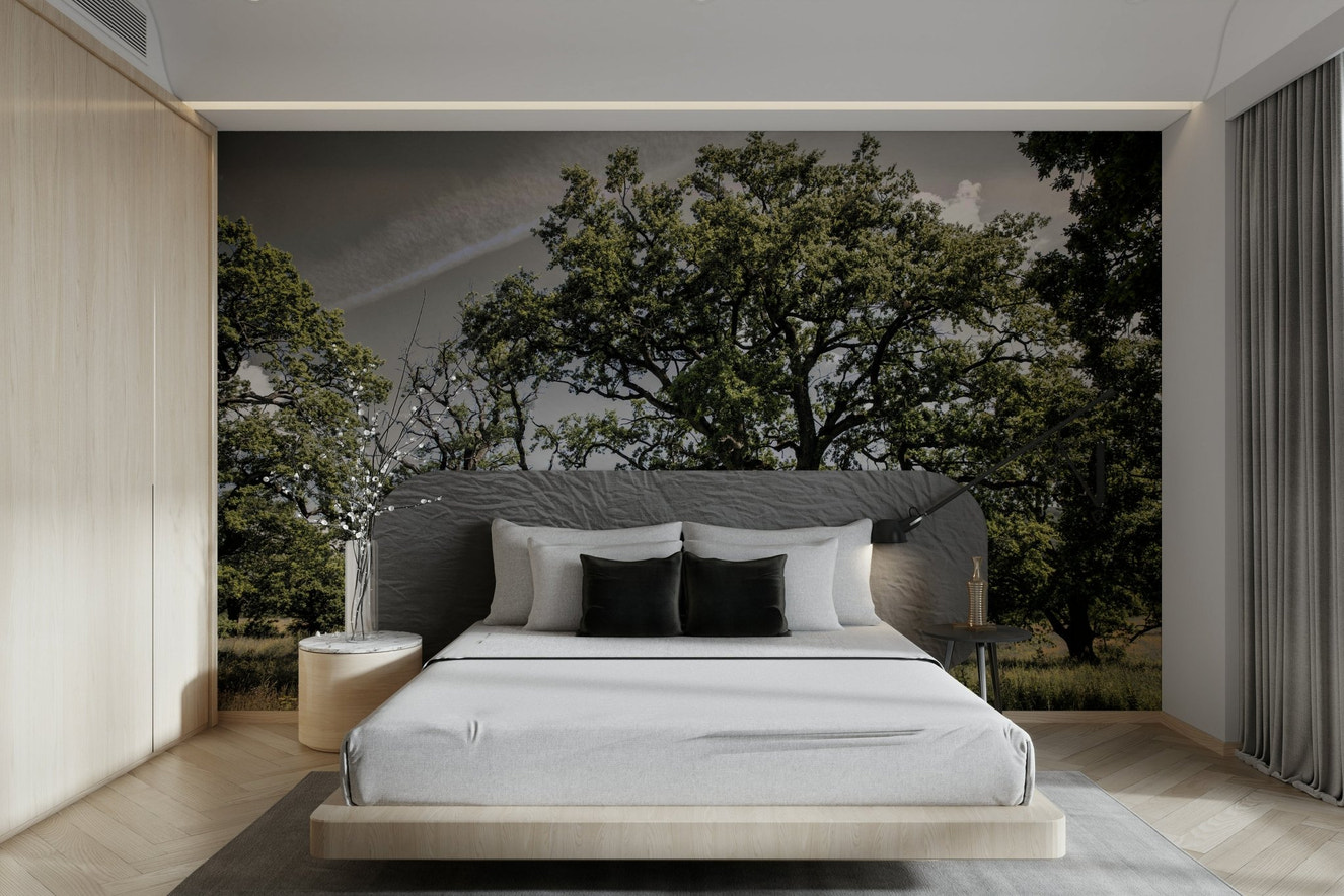 Peaceful oak grove mural wallpaper
