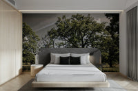 Peaceful oak grove mural wallpaper
