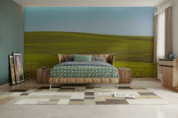 Serene spring view wall mural

