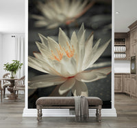 Water Lily close-up large-scale wallpaper peaceful artistic statement.