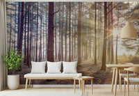 Shrouded in Mystery Wall Mural