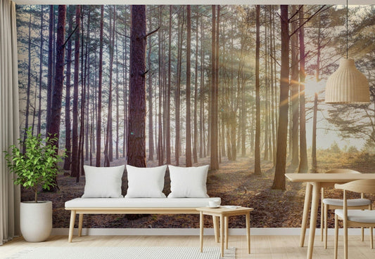 Shrouded in Mystery wallpaper mural of glowing pine trees behind a wood bench with white cushions in an entryway