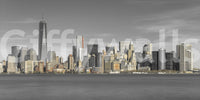 Skyline of New York City Wall Mural