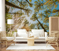 Tree tops wallpaper in reading nook, modern chair, calm green scene