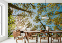 Nature canopy wall mural in home office, calming greens behind desk