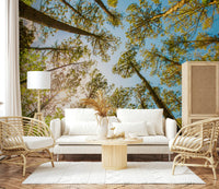 Tree tops wallpaper in reading nook, modern chair, calm green scene