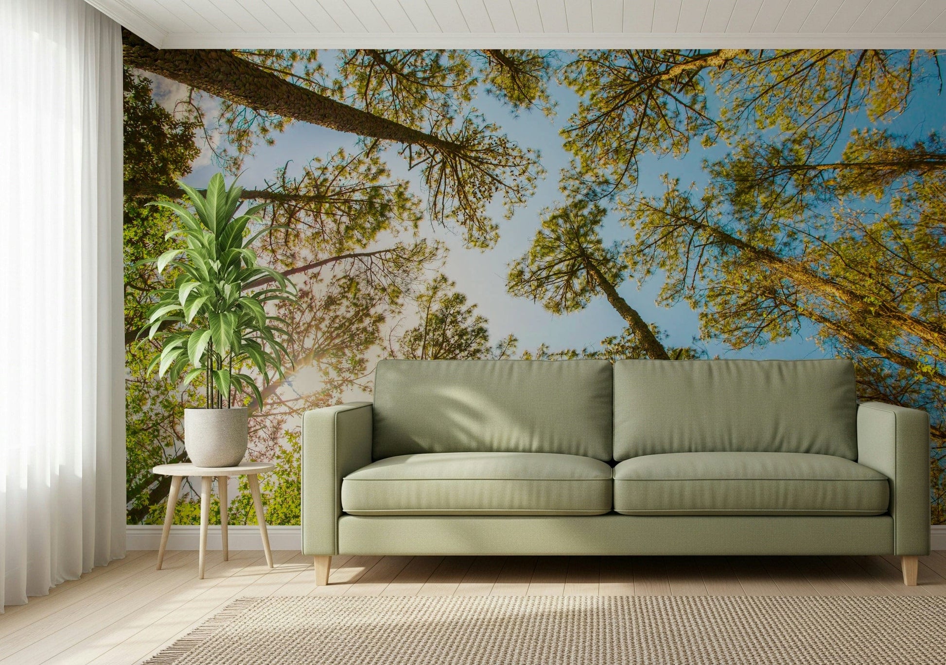 Ceiling wallpaper with treetops in kids room, fresh green nature look