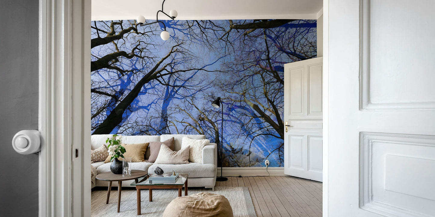 Skyward View: Abstract Tree Canopy Art Print Wall Mural
