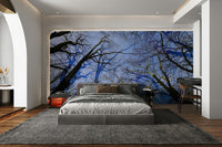 Skyward View: Abstract Tree Canopy Art Print Wall Mural