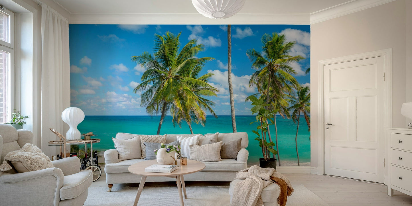 Panoramic view of a tropical beach with palm trees.

