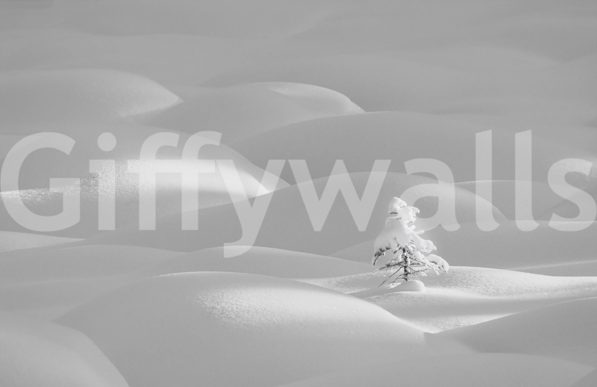 Snowscape Serenity wallpaper mural close-up of soft white snowdrifts with a single snow-covered pine tree