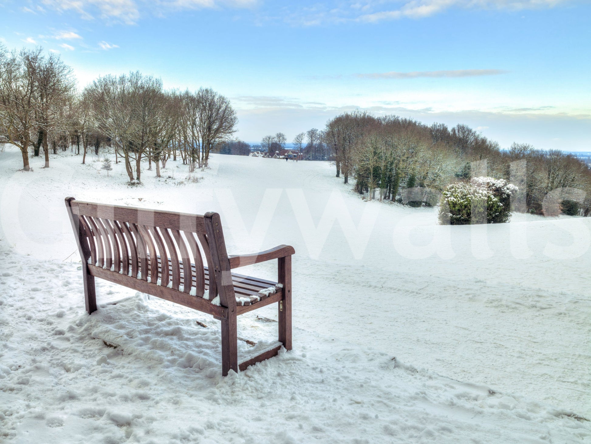Classic winter image, frosty trees lining slope, Snowy Landscape mural.