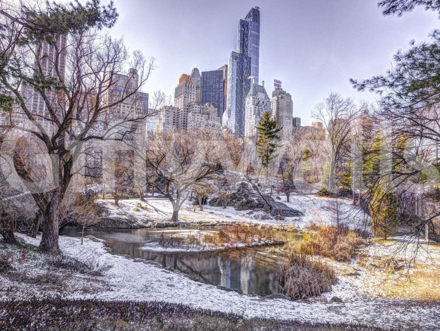 Snowy Central Park with bare trees, a pond and the Manhattan skyline shown as a full-wall mural