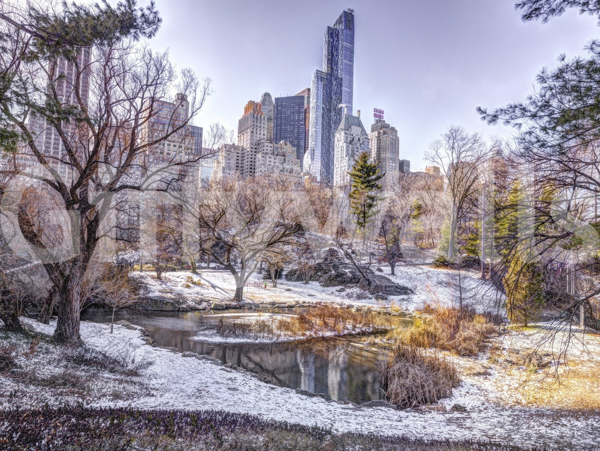 Snowy Central Park with bare trees, a pond and the Manhattan skyline shown as a full-wall mural