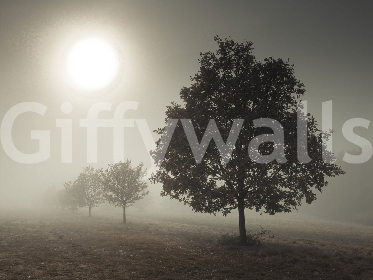 Solitary Sentinel wall mural bringing a sense of solitude and peace.

