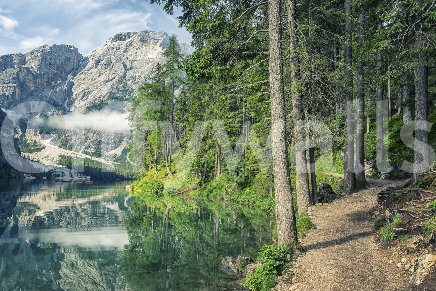 Interior wall mural showing South Tyrol nature landscape and mountain wallpaper clarity